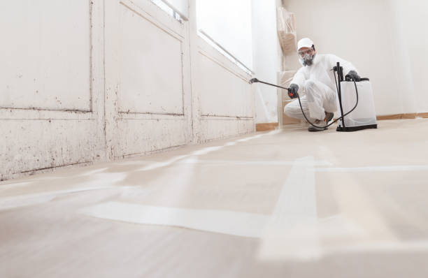 24/7 Emergency Mold Removal experts in Springfield, MN